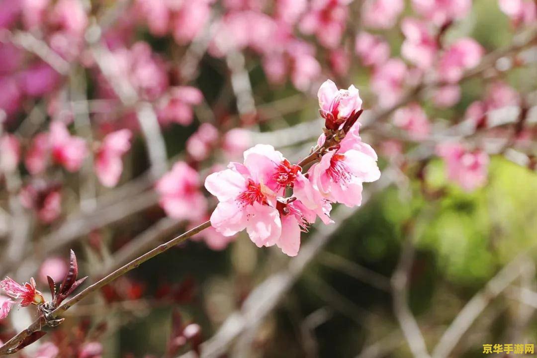 笑傲江湖ol职业分析 笑傲江湖ol职业分析