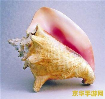 原神海螺哪里有卖：珍稀物品购买指南