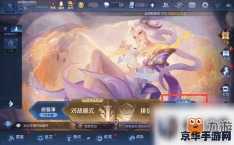 王者荣耀长城守卫军有什么用 王者荣耀长城守卫军：守护之力与荣耀的象征**