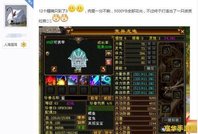 天龙八部送号：游戏历程与珍藏，寻找新的主人