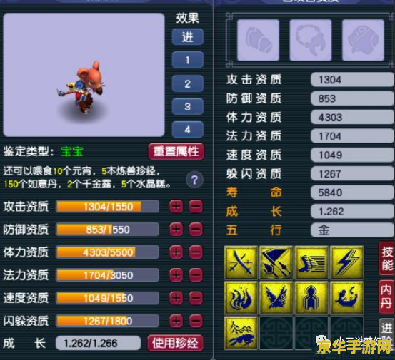 梦幻西游序列号：游戏体验的关键