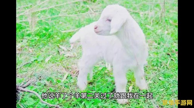 羊了个羊攻略第二关