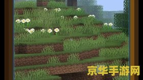 原神收集雷种子 建议：原神：探索雷种子，解锁神秘力量