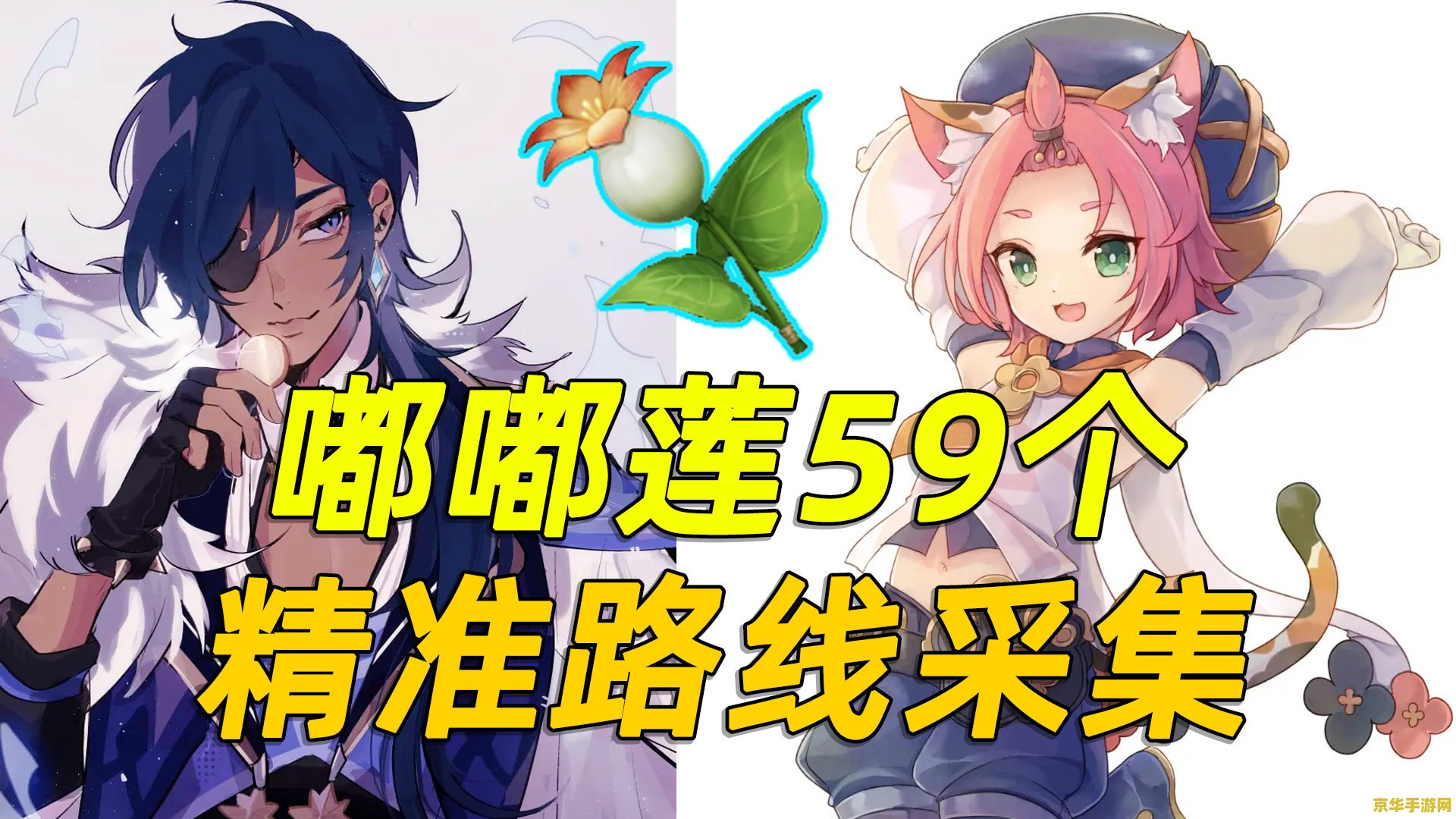 原神嘟嘟莲在哪位置