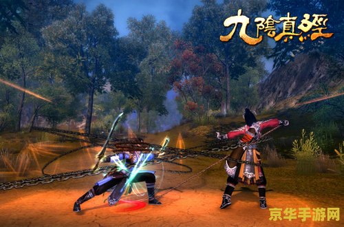 "九阴真经 锦衣卫"游戏攻略与心得
