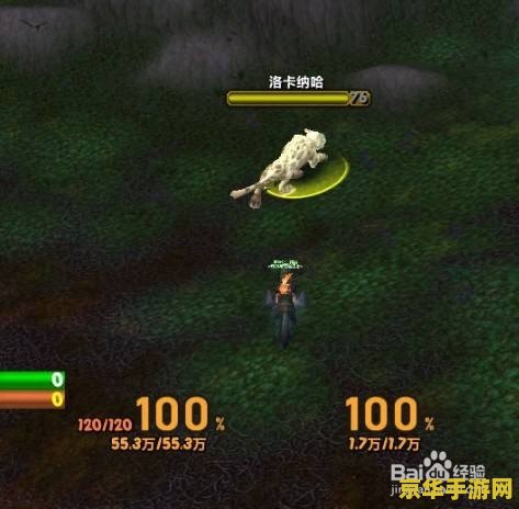 魔兽世界卡位面