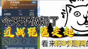 csol挂机脚本