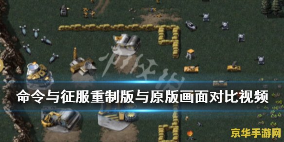 原神雷鸣仙去哪买