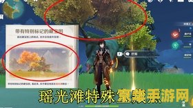 原神秘密宝藏瑶光滩特殊宝藏