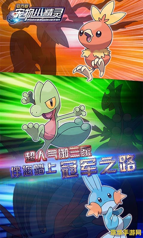 宠物小精灵best wishes 宠物小精灵：最好的祝福
