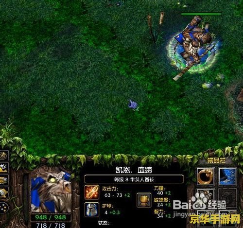 王者荣耀有为什么王者 王者荣耀：王者之路的奥秘