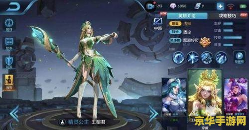 王者荣耀王招君多少钱
