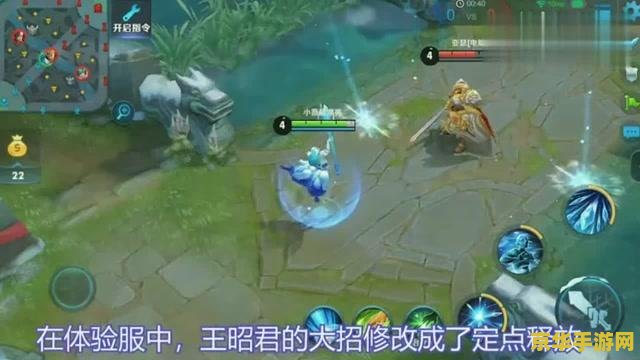 王者荣耀王招君多少?X 王者荣耀王招君多少?X