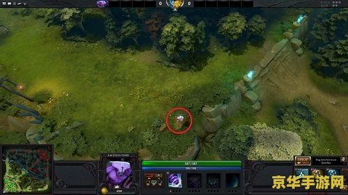 dota2秘籍：游戏攻略与技巧