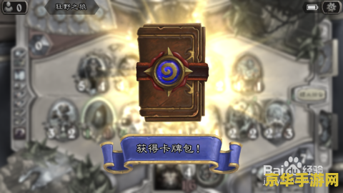 炉石传说17173 炉石传说：策略与运气的完美结合