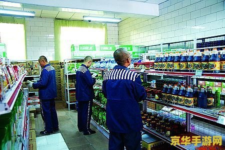 原神收集十个冷鲜肉