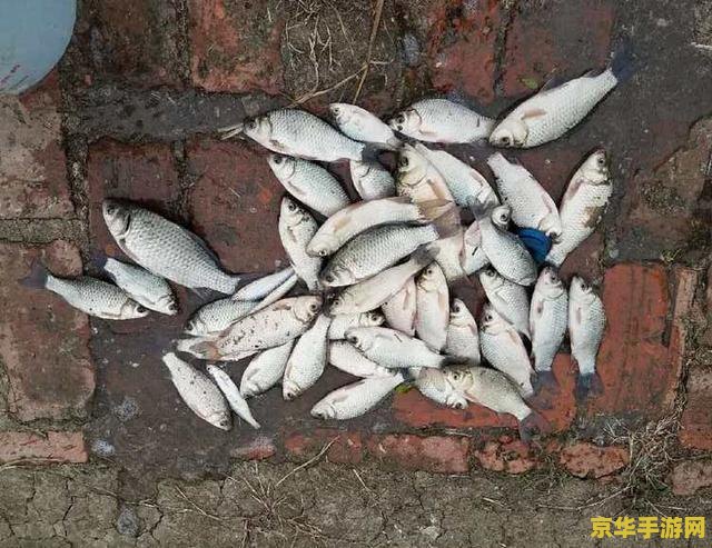 原神肺棘鱼鱼饵怎么合成