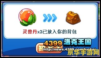 洛克王国冰龙王之蛋