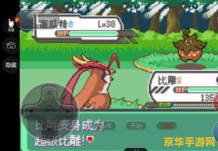 口袋妖怪绿宝石秘籍