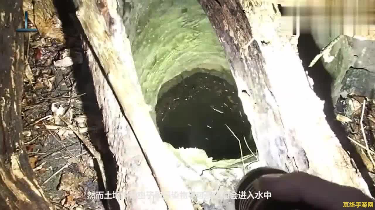 原神中借助笼状物破坏其余三座磐键