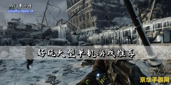 好玩的大型单机游戏