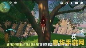 原神岩神瞳有多少