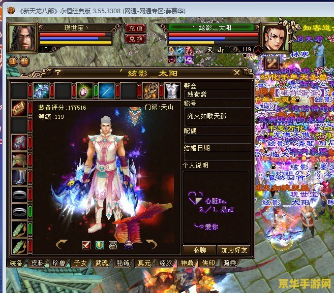 天龙八部家族名：传承与荣耀的交织