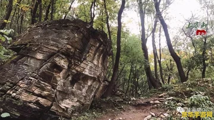 原神掣电树在哪里 原神掣电树位置揭秘