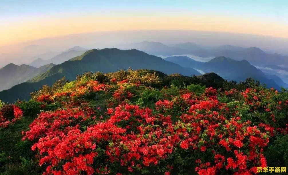 原神千年千岩远眺之花没有npc的原因分析及解决方法