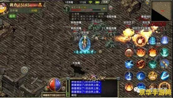 传奇3尸王殿