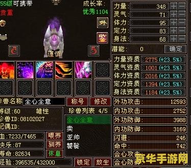天龙八部珍兽装备