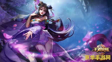 王者荣耀 大王卡如何用 王者荣耀大王卡如何使用