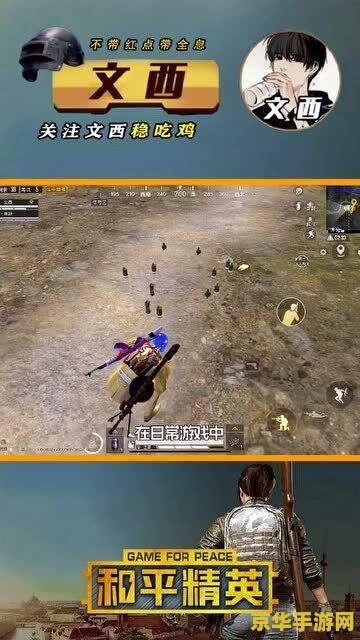 和平精英图片 和平精英游戏体验及攻略
