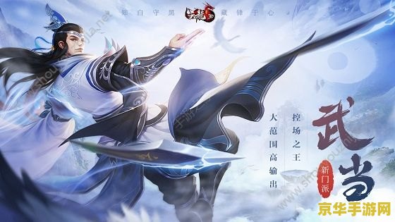 九阴真经武当内功：道法自然，内力无穷