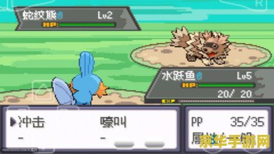 口袋妖怪究极绿宝石小智版