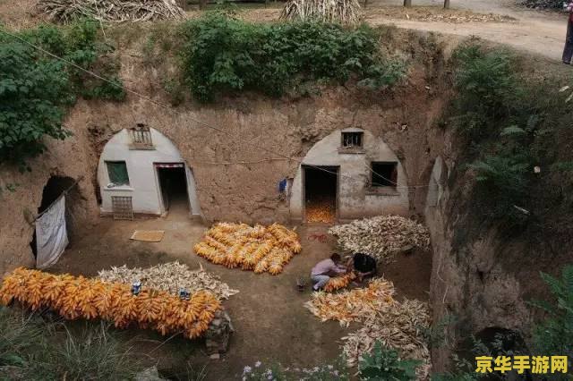 生化危机5攻略解说 建议：生化危机5：攻略解说与深度解析