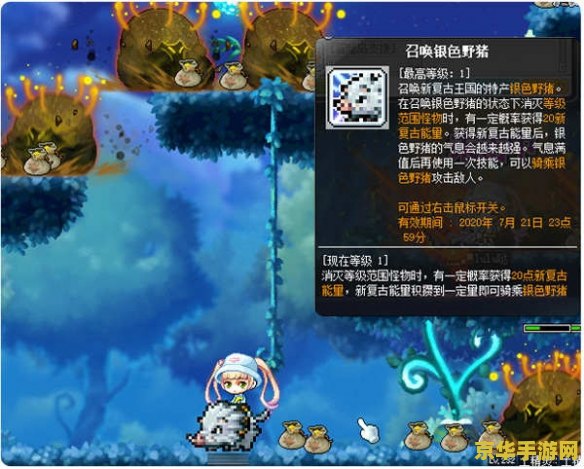 冒险岛新职业技能