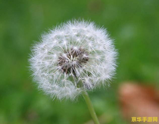 dnf绝望之塔怎么打 dnf绝望之塔怎么打