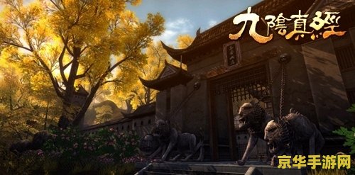 九阴真经刷恶：深度解析游戏中的善恶与江湖人生