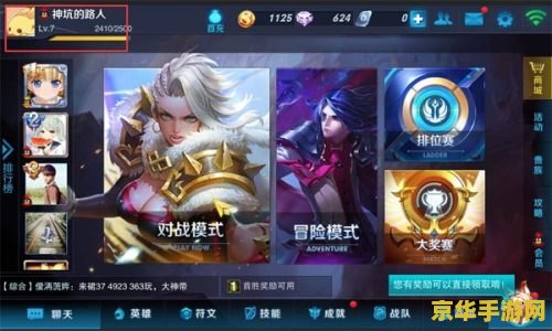 王者荣耀ad指什么意思是什么意思 王者荣耀AD的含义与重要性