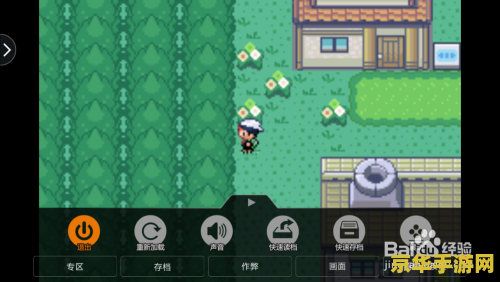 口袋妖怪红宝石金手指代码