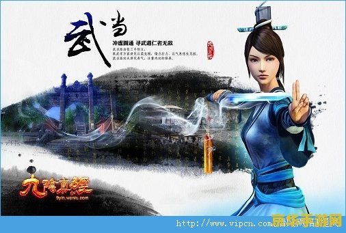 九阴真经桀骜值
