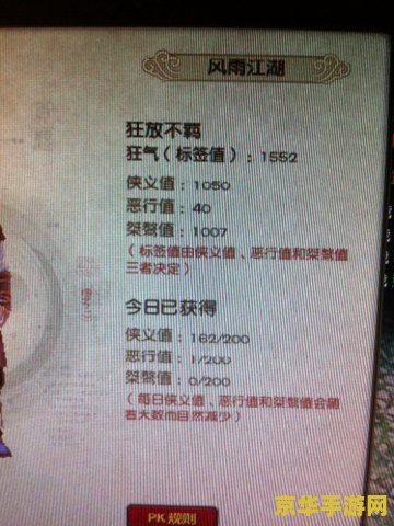 九阴真经桀骜值