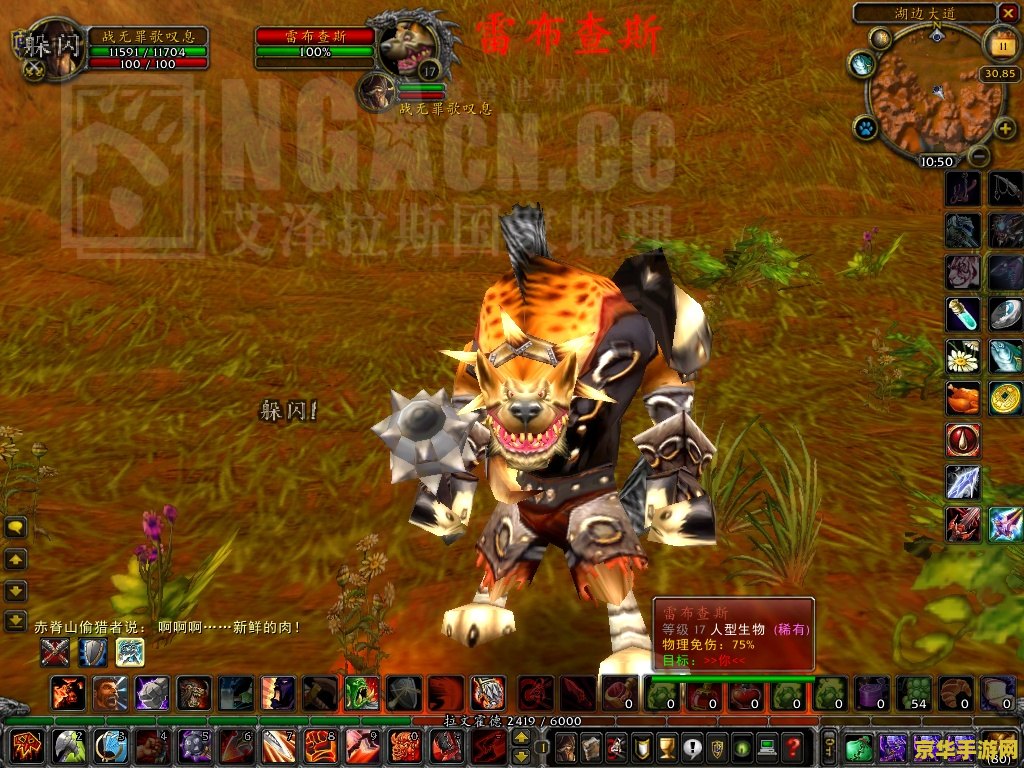 魔兽世界稀有怪