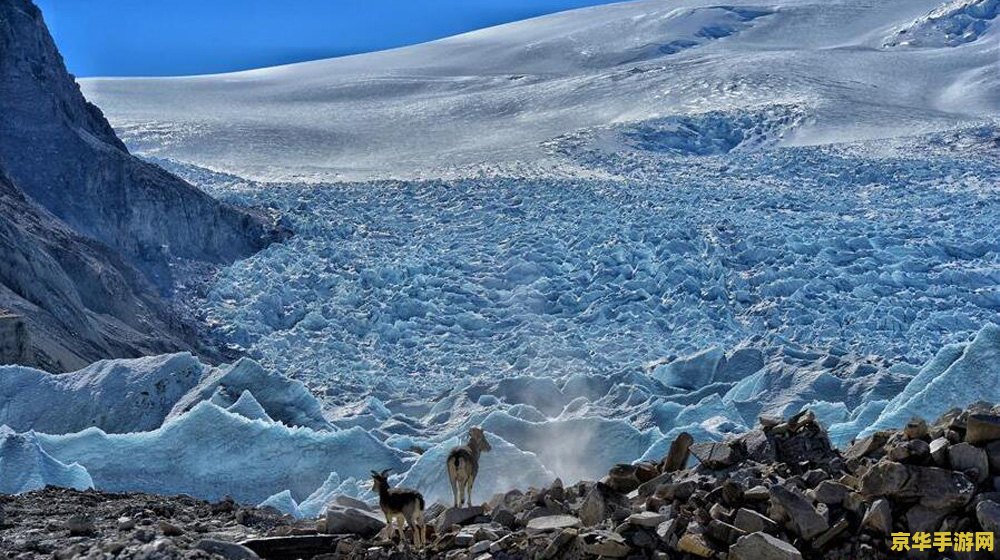 原神龙脊雪山遗迹怎么通过 原神龙脊雪山遗迹攻略