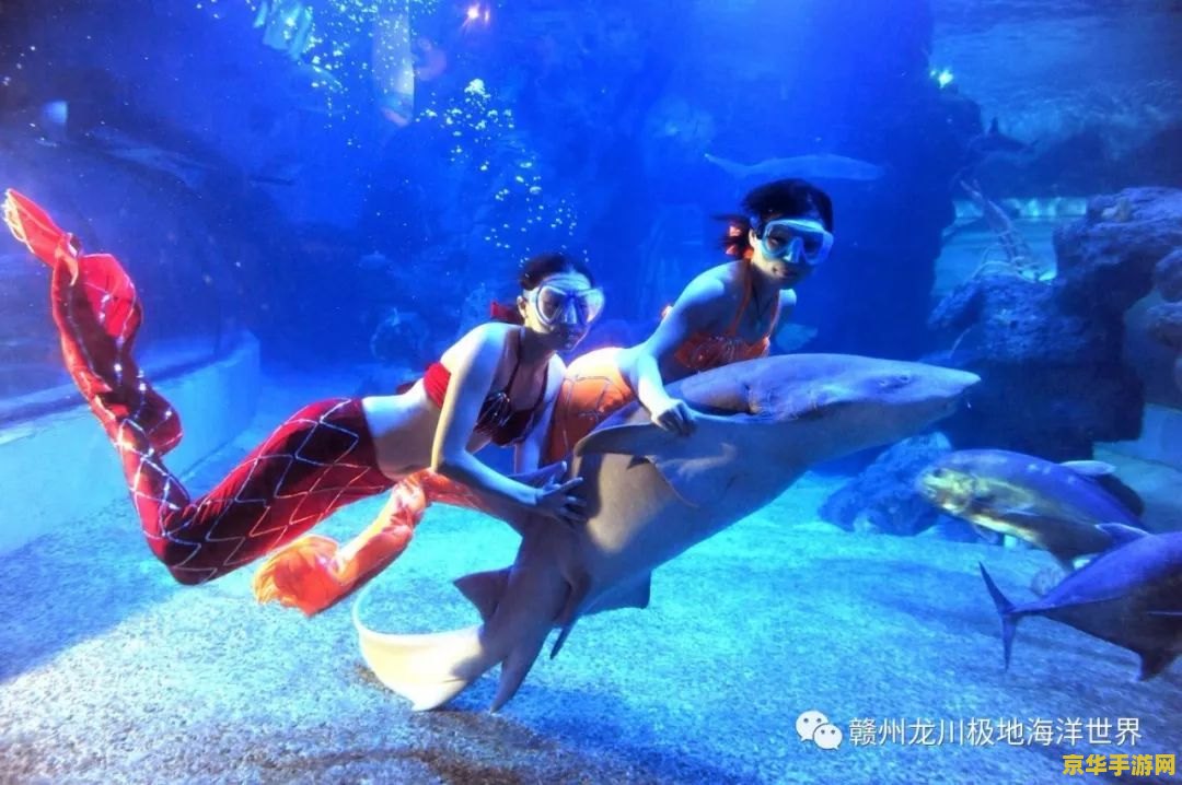 海底世界动态壁纸