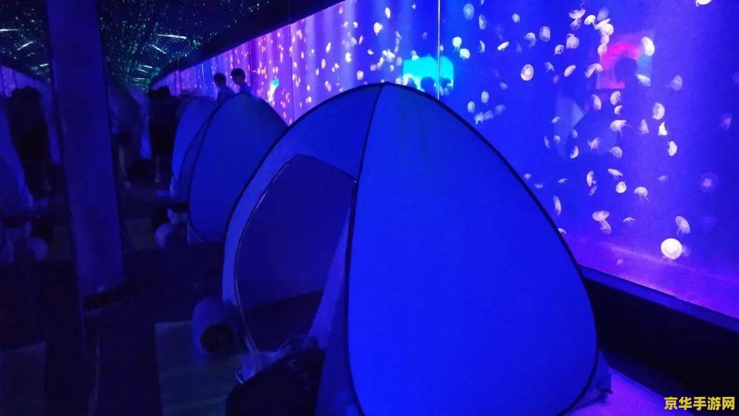 海底世界动态壁纸