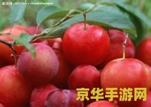 英雄联盟泰达米尔出装 英雄联盟泰达米尔出装：暴力输出的不二之选
