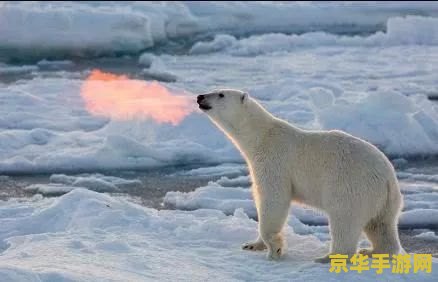 轩辕传奇北极熊 轩辕传奇：北极熊的游戏体验