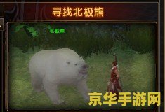 游戏王卡片查询器：探索无尽的卡牌世界